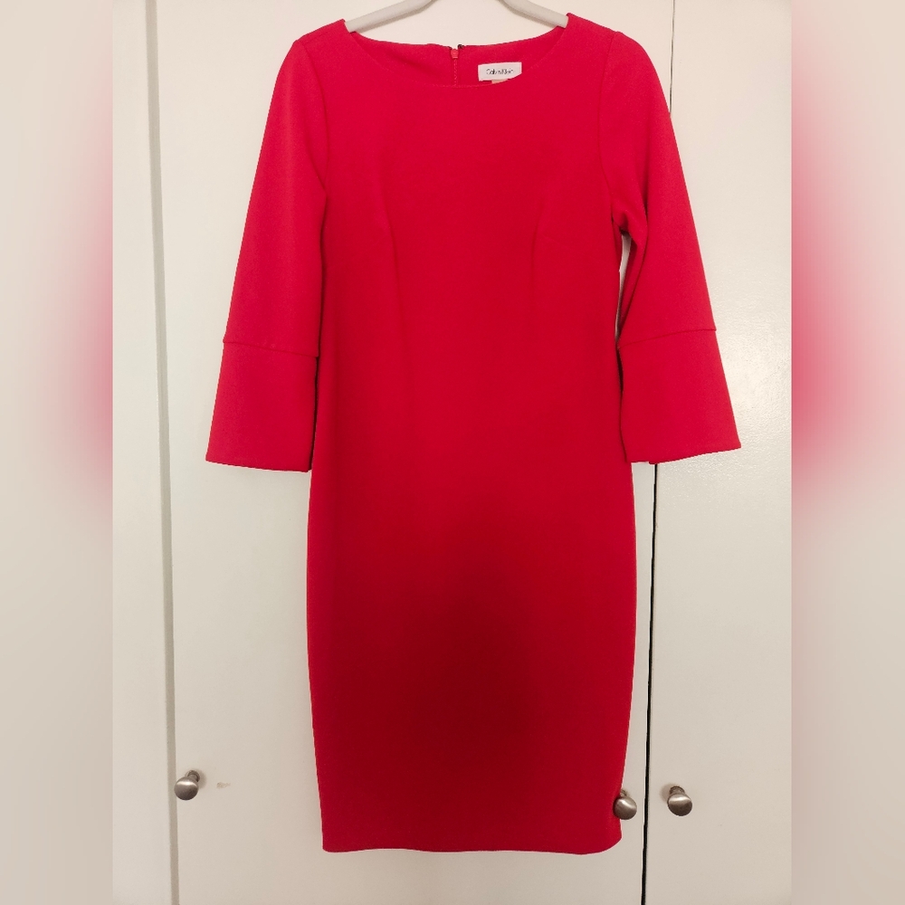 Calvin Klein Elegant Red Women's Dress
